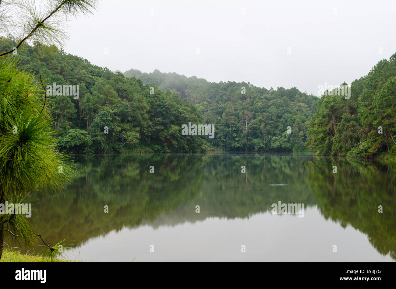 Natura paesaggio all'alba di laghi e foreste di pini in Pang Ung parco nazionale di Mae Hong Son provincia, Thailandia Foto Stock