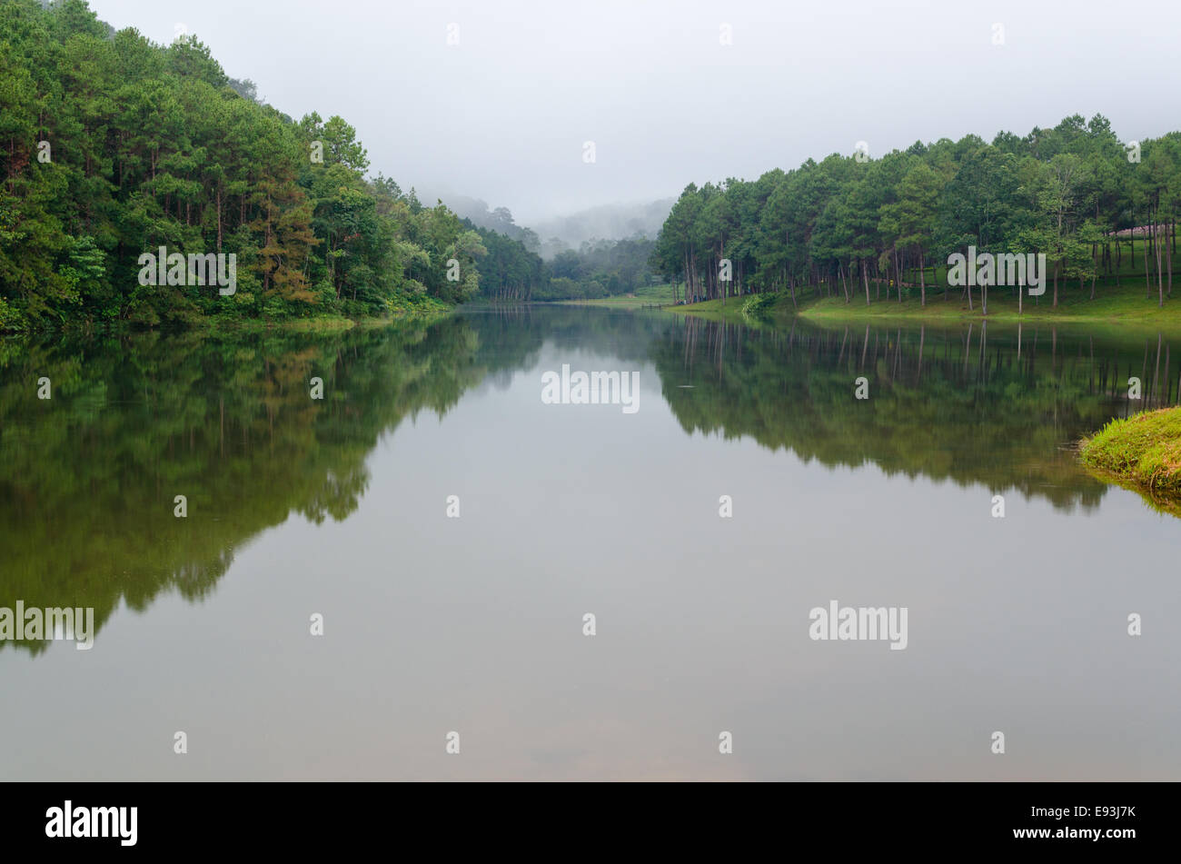 Natura paesaggio all'alba di laghi e foreste di pini in Pang Ung parco nazionale di Mae Hong Son provincia, Thailandia Foto Stock