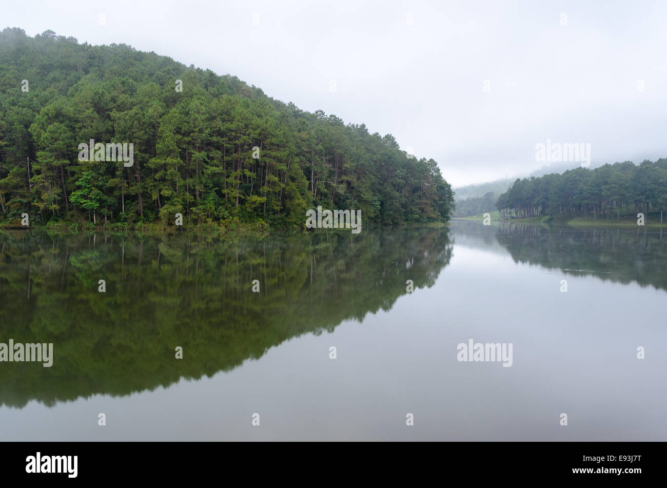 Natura paesaggio all'alba di laghi e foreste di pini in Pang Ung parco nazionale di Mae Hong Son provincia, Thailandia Foto Stock