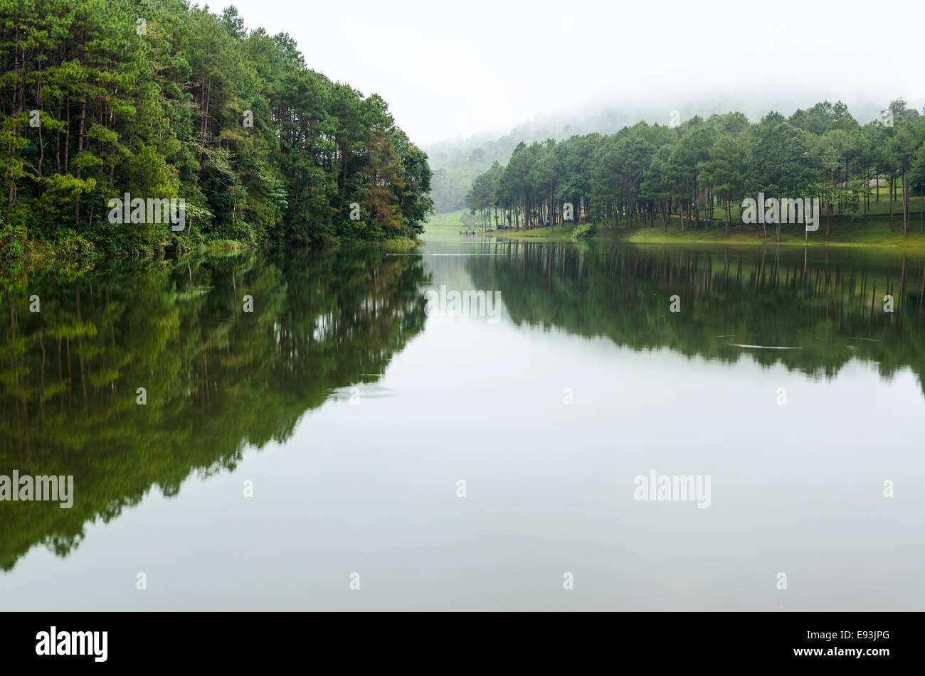 Natura paesaggio all'alba di laghi e foreste di pini in Pang Ung parco nazionale di Mae Hong Son provincia, Thailandia Foto Stock