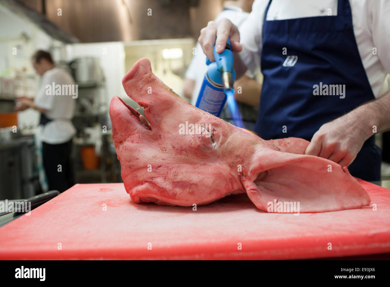 Una testa di suini nella cucina di Andrew Fairlie a Gleneagles Foto Stock