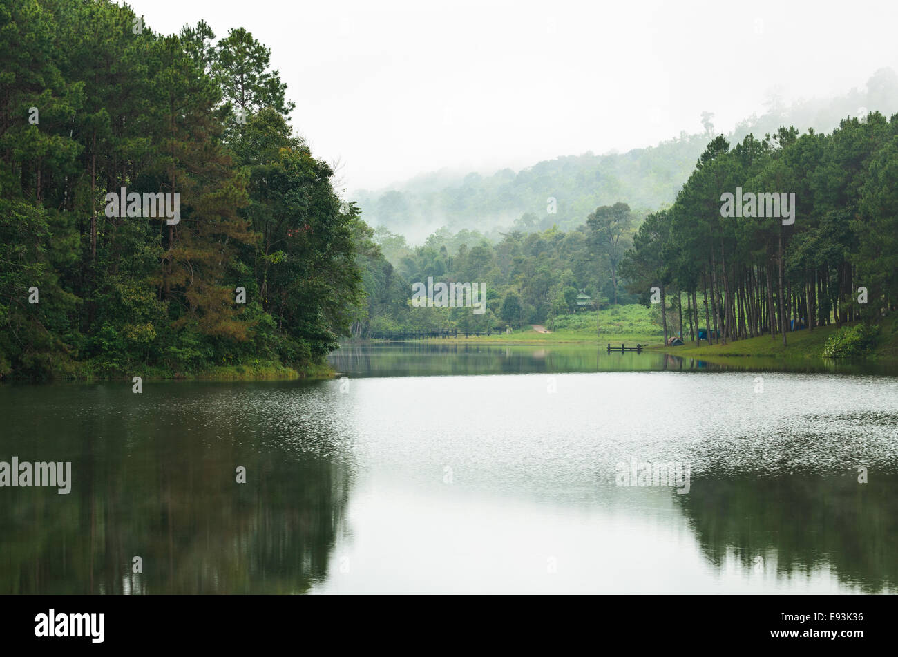 Natura paesaggio di mattina di laghi e foreste di pini in Pang Ung parco nazionale di Mae Hong Son provincia, Thailandia Foto Stock