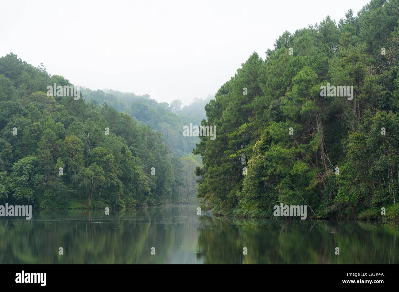 Natura paesaggio di mattina di laghi e foreste di pini in Pang Ung parco nazionale di Mae Hong Son provincia, Thailandia Foto Stock