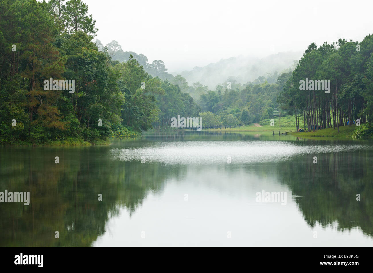 Natura paesaggio di mattina di laghi e foreste di pini in Pang Ung parco nazionale di Mae Hong Son provincia, Thailandia Foto Stock