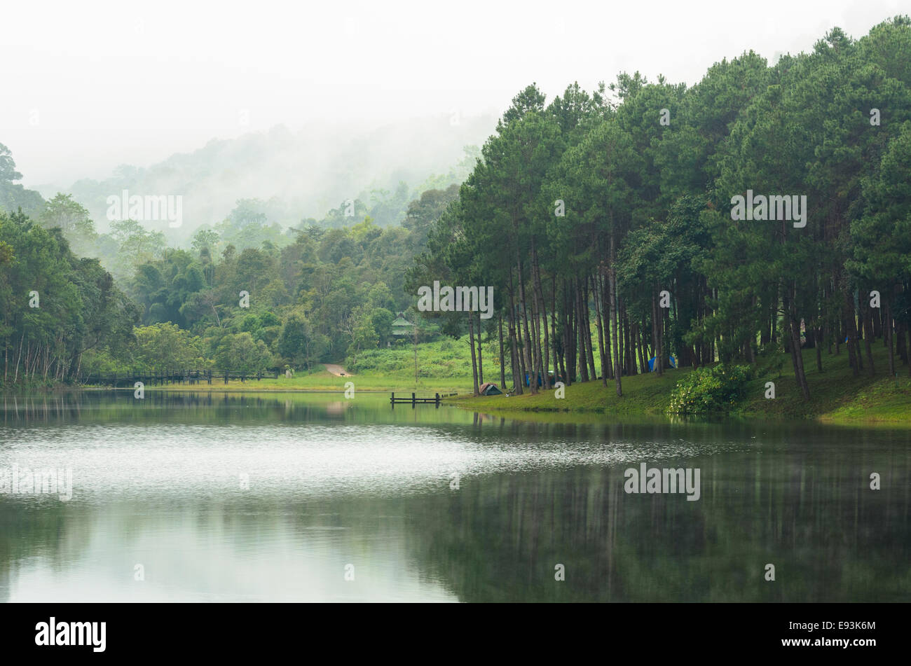 Natura paesaggio di mattina di laghi e foreste di pini in Pang Ung parco nazionale di Mae Hong Son provincia, Thailandia Foto Stock