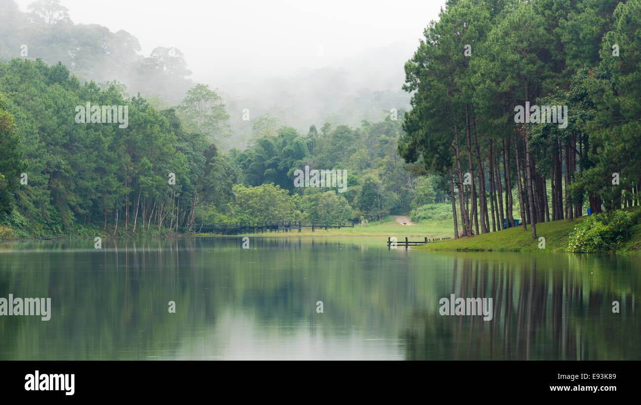 Natura paesaggio di mattina di laghi e foreste di pini in Pang Ung parco nazionale di Mae Hong Son provincia, Thailandia Foto Stock