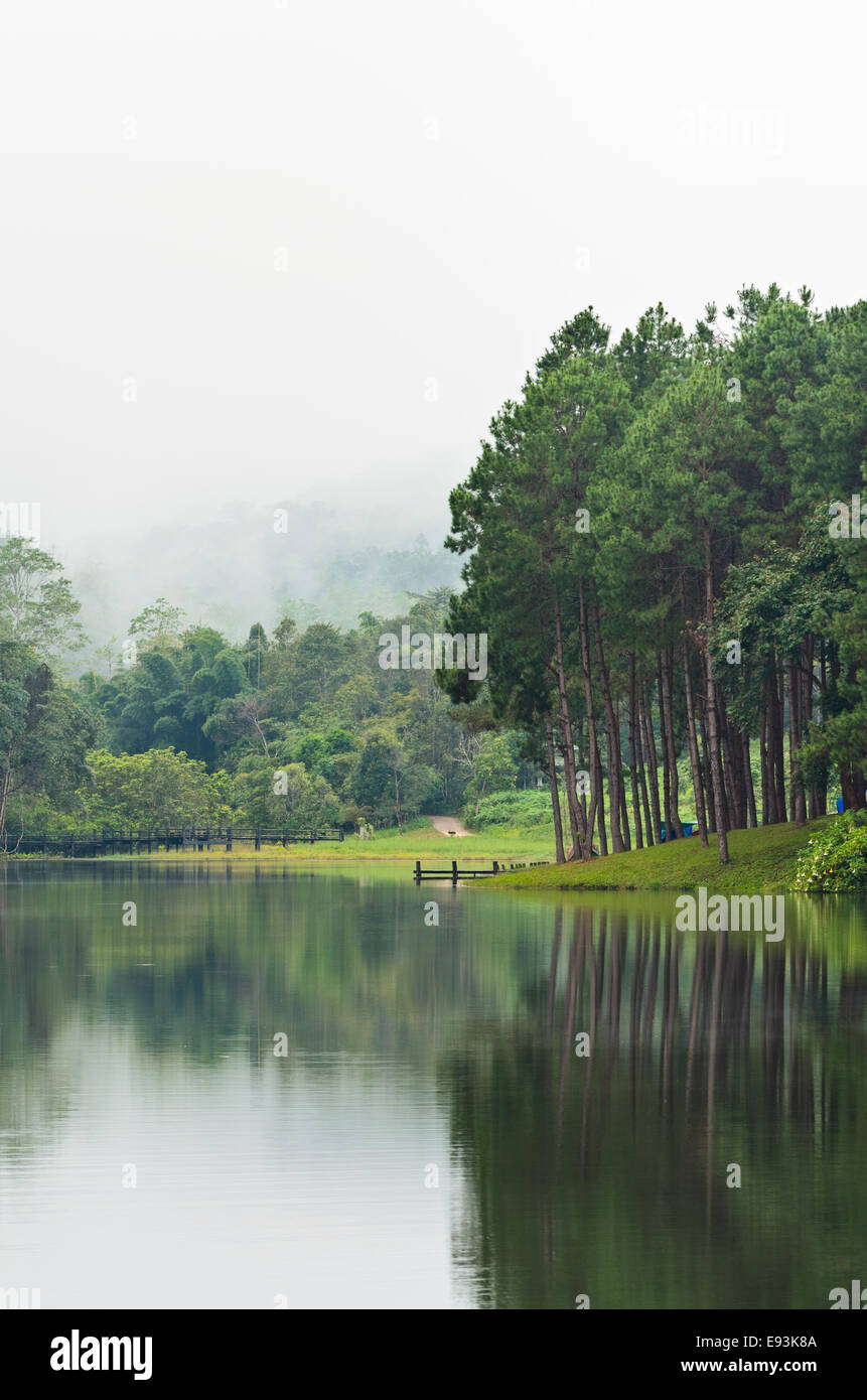 Natura paesaggio di mattina di laghi e foreste di pini in Pang Ung parco nazionale di Mae Hong Son provincia, Thailandia Foto Stock