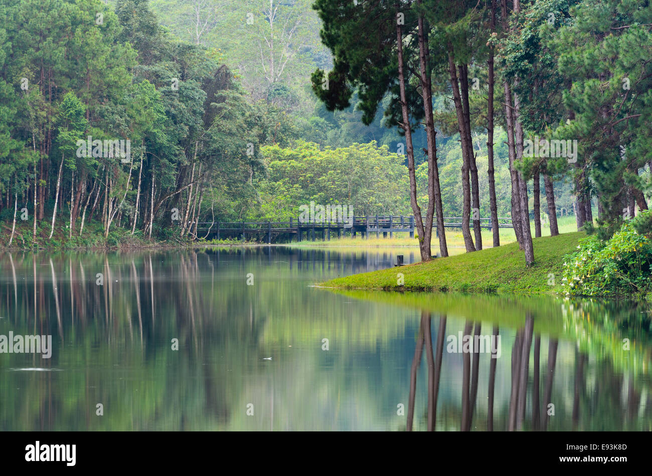 Natura paesaggio di mattina di laghi e foreste di pini in Pang Ung parco nazionale di Mae Hong Son provincia, Thailandia Foto Stock