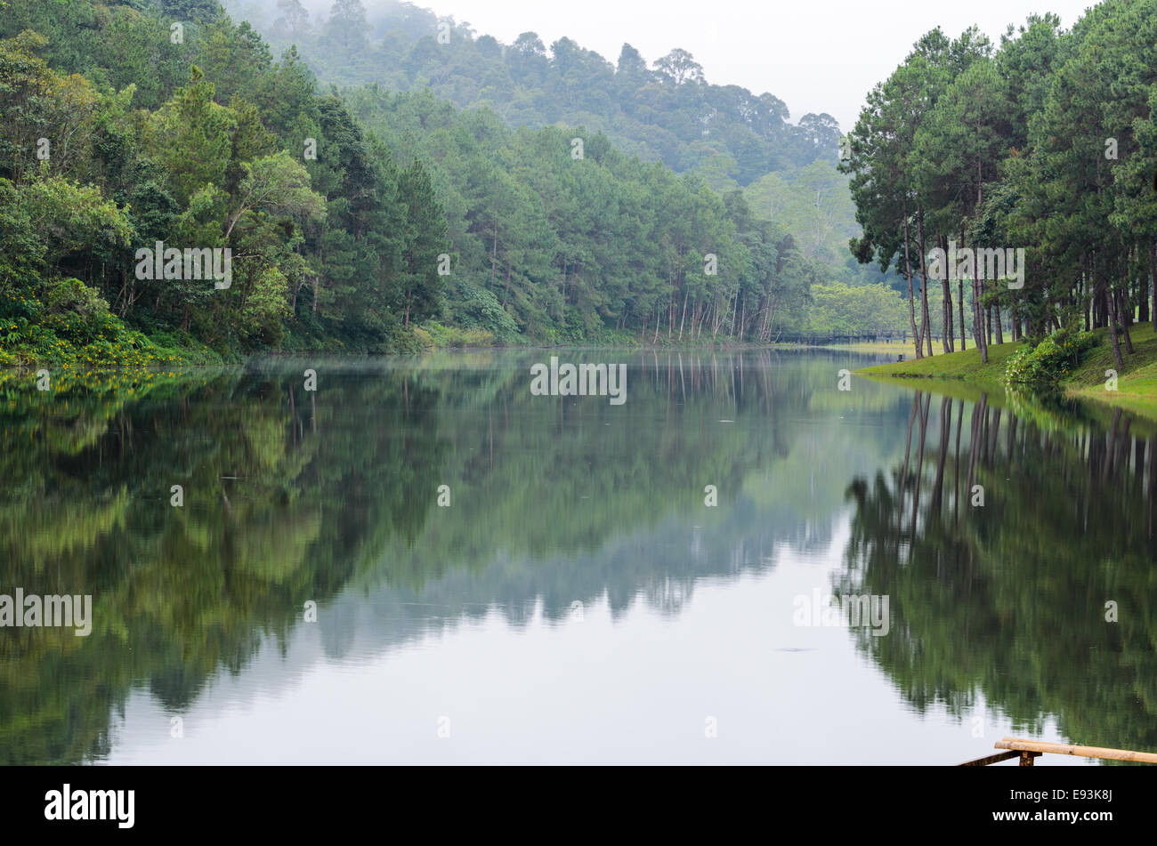 Natura paesaggio di mattina di laghi e foreste di pini in Pang Ung parco nazionale di Mae Hong Son provincia, Thailandia Foto Stock
