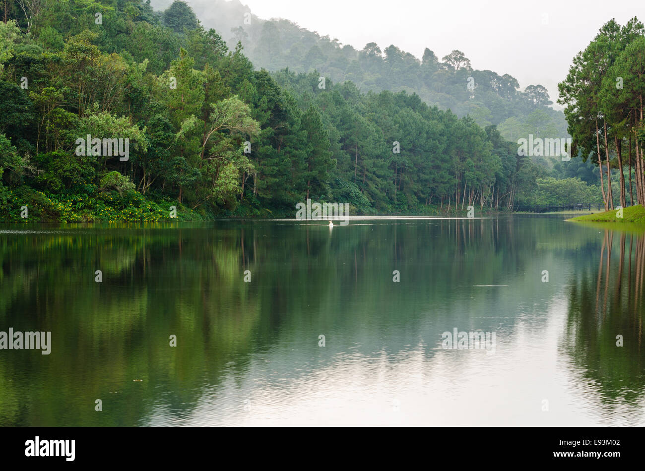 Natura paesaggio di mattina di laghi e foreste di pini in Pang Ung parco nazionale di Mae Hong Son provincia, Thailandia Foto Stock