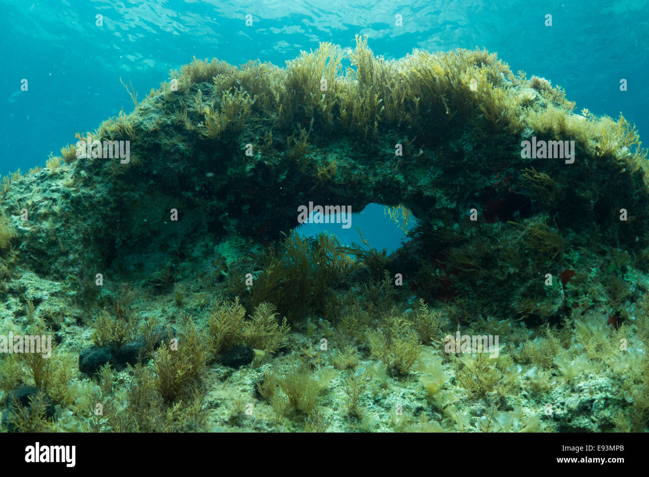 Paesaggio sottomarino con arco del Mare Mediterraneo a Cirkewwa Malta. Foto Stock