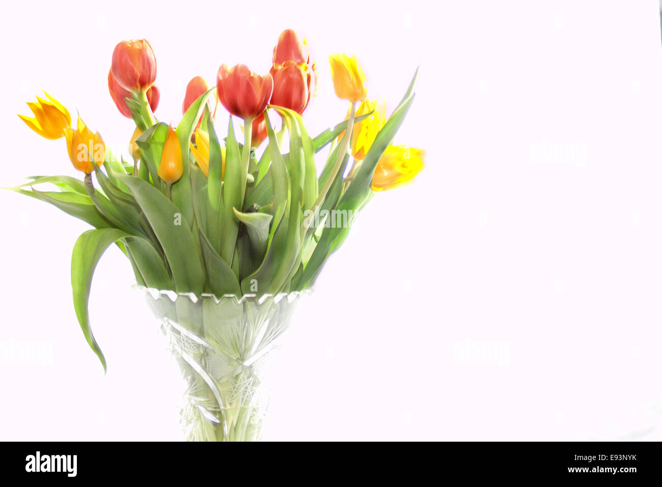 Bouquet di tulipani in un vaso di cristallo Foto Stock