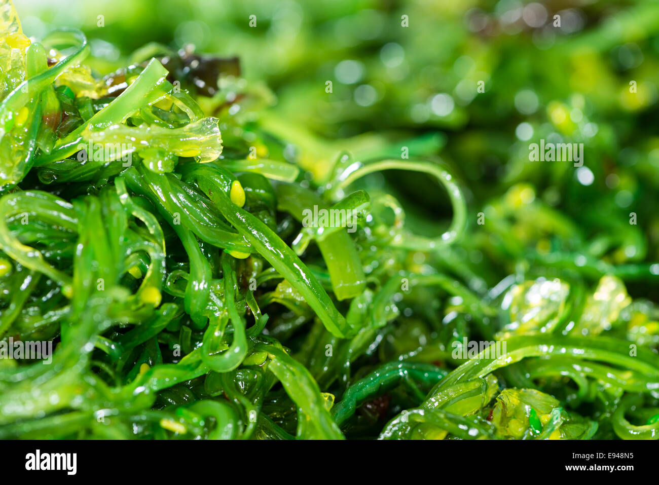 Insalata di Kelp (dettagliate di close-up shot) da utilizzare come immagine di sfondo o come texture Foto Stock