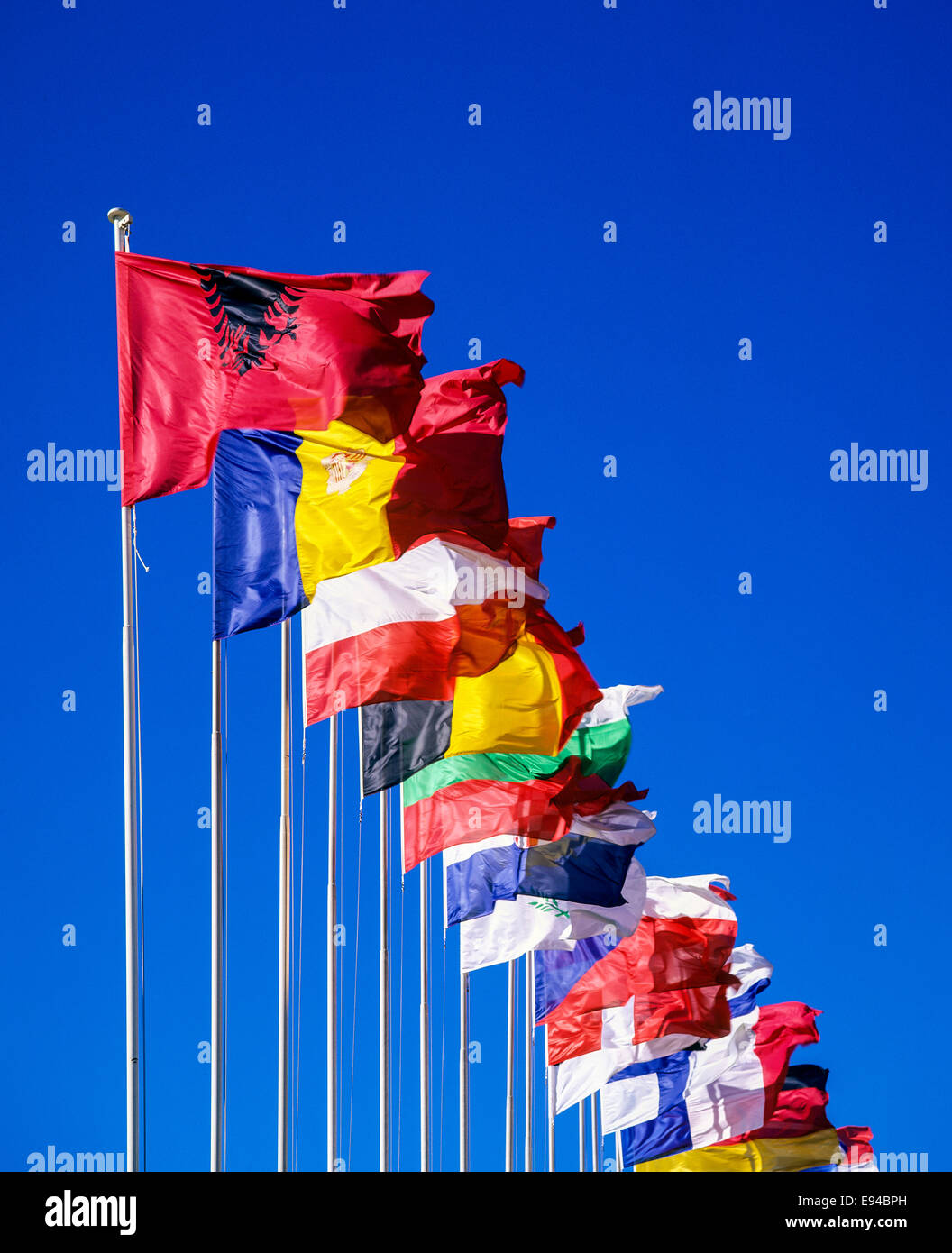 Bandiere di paesi europei davanti al consiglio d'Europa edificio, Palais de l'Europe, Strasburgo, Alsazia, Francia Foto Stock
