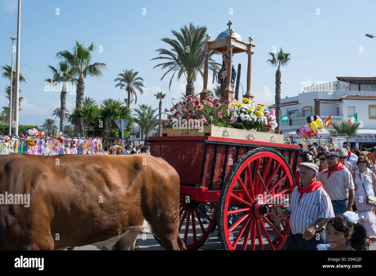 Salobrena, Romerio 2014, tori tirare un carrello che porta la statua della Vergine del Rosario Foto Stock