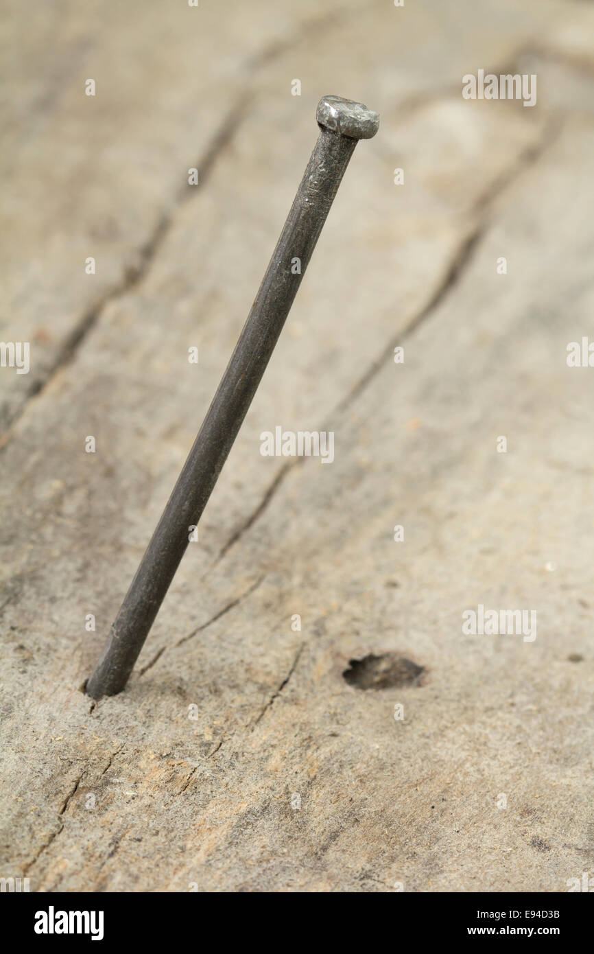 Close-up del chiodo piegato in una parete in legno Foto Stock