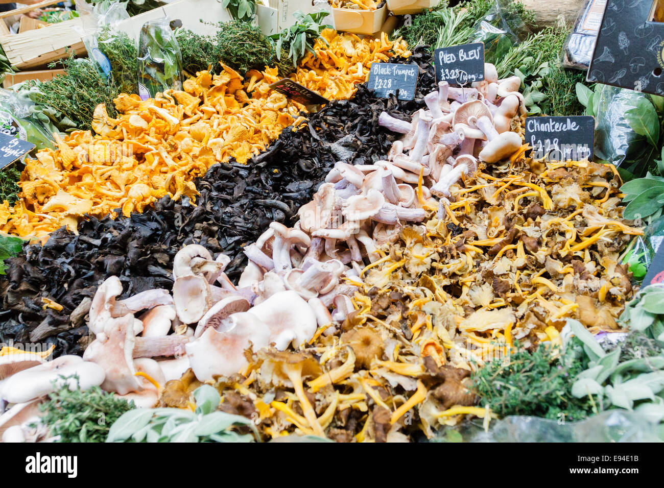 La selezione di diversi funghi e fungo su un mercato in stallo, Borough Market, London, England, Regno Unito Foto Stock