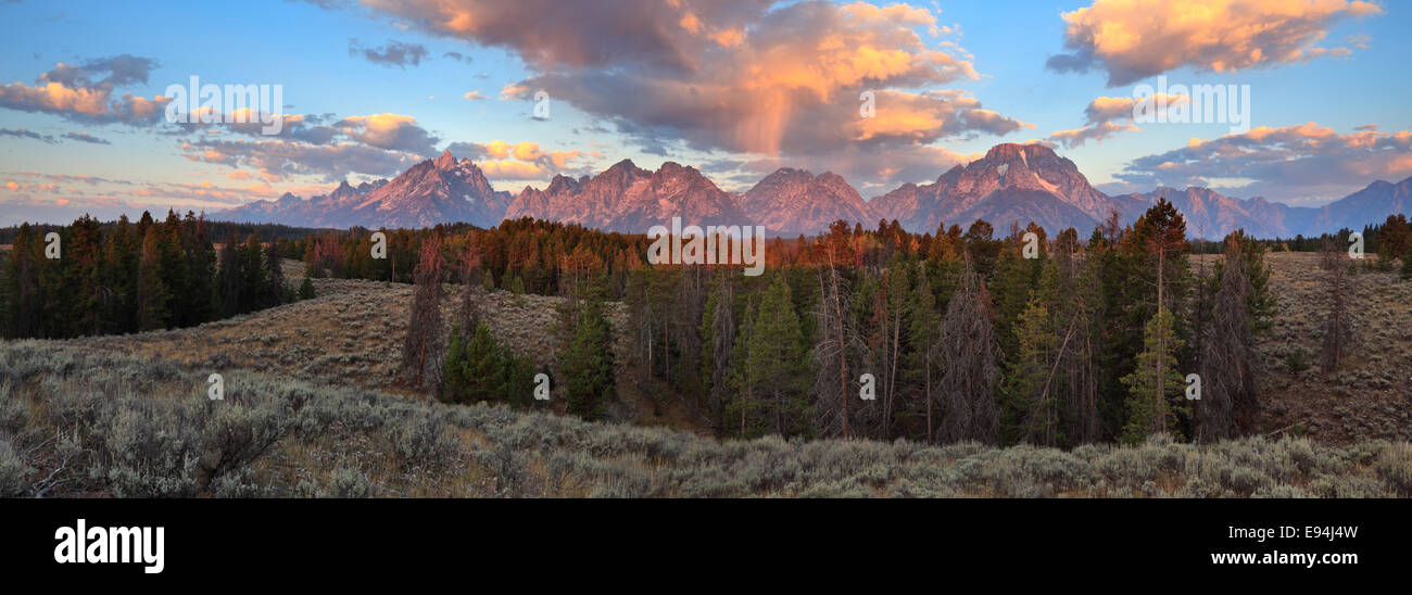 Il gruppo della cattedrale di sunrise nel Parco Nazionale di Grand Teton, Wyoming Foto Stock