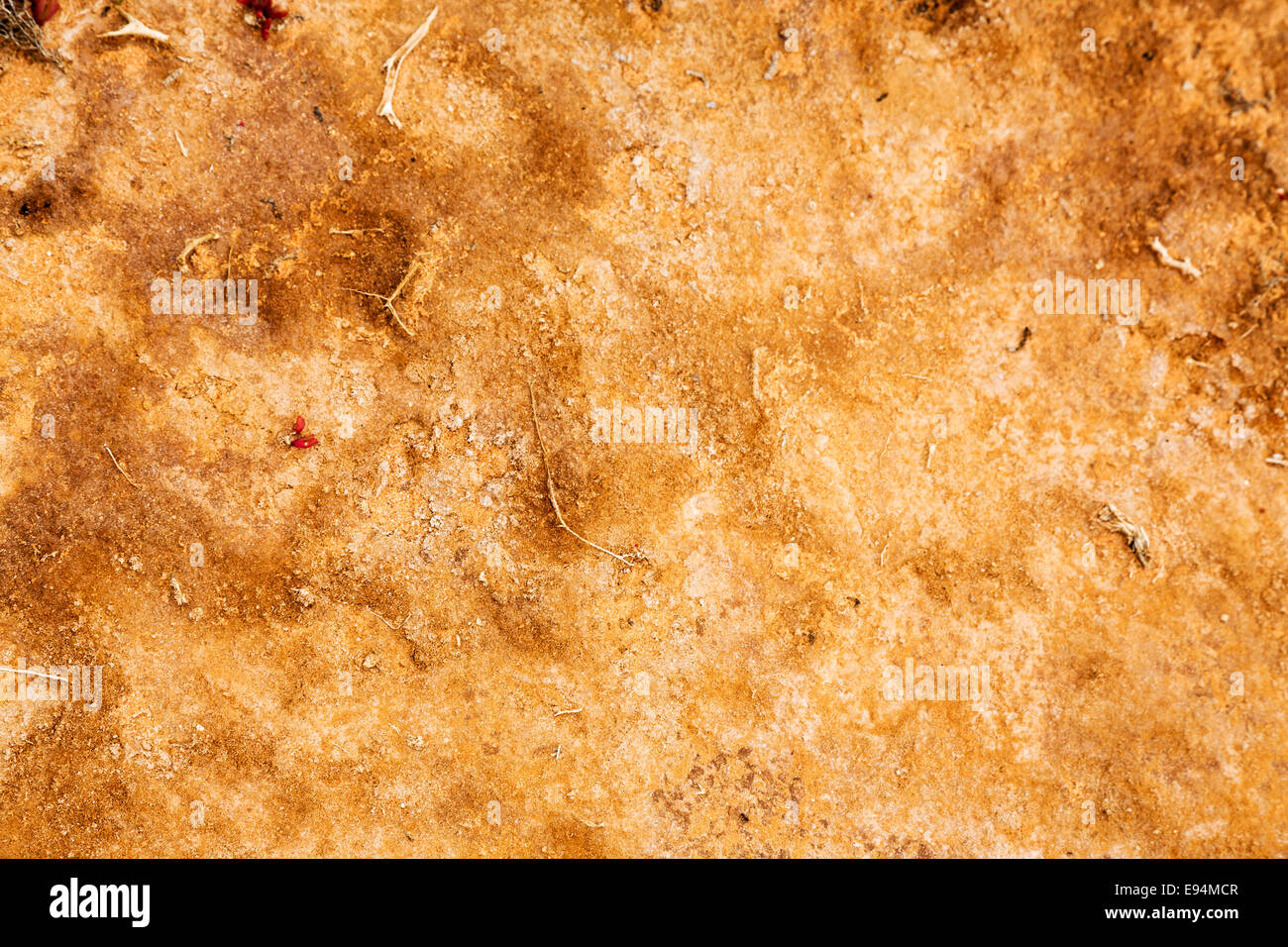 Modelli natura dell'Australia Foto Stock