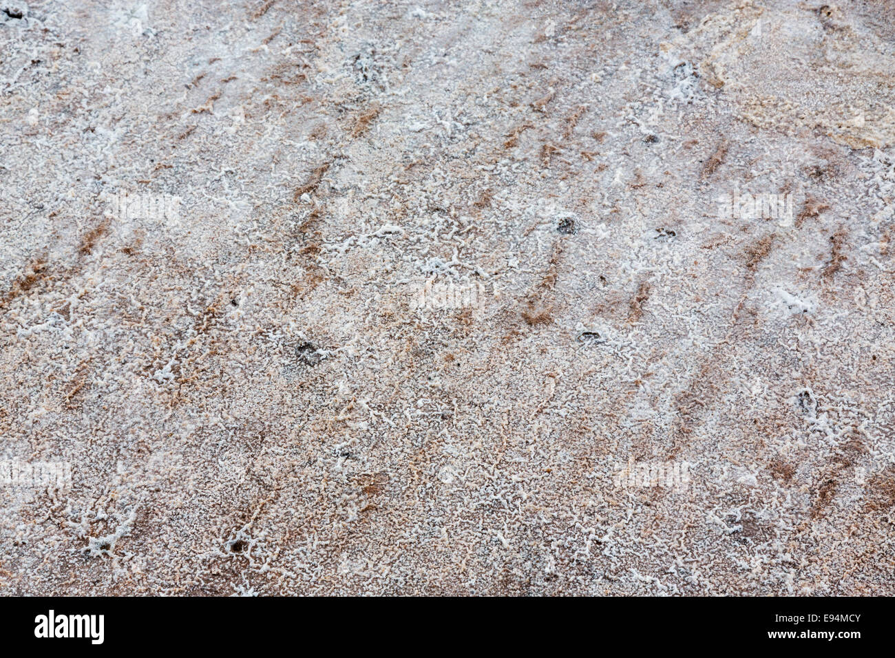 Modelli natura dell'Australia Foto Stock