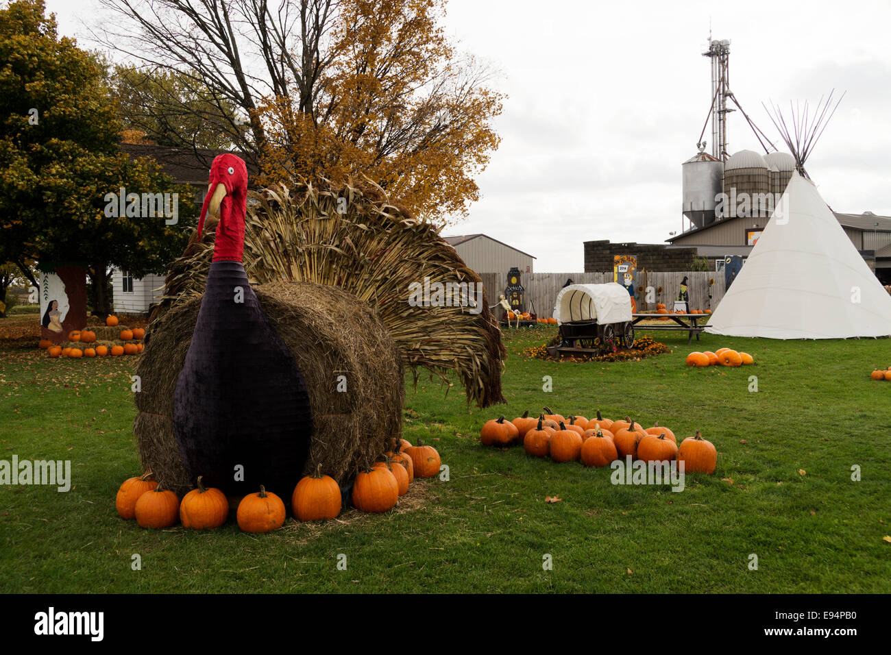 Una piscina esterna, autunno visualizzazione in un mercato di fattoria nel nord dell'Illinois. Foto Stock