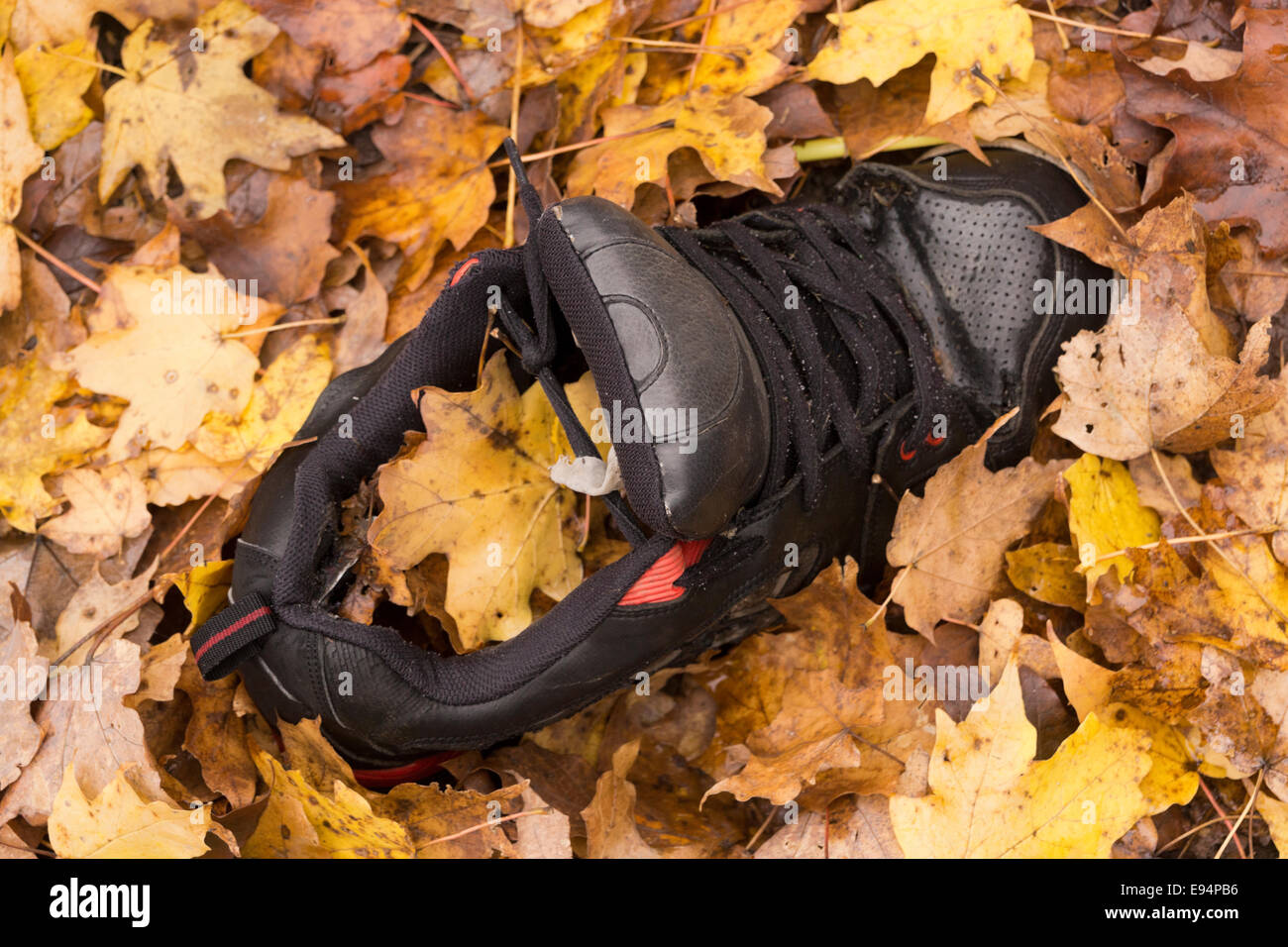 Ragazzi scarpa da ginnastica riempito con caduto foglie di acero. Foto Stock