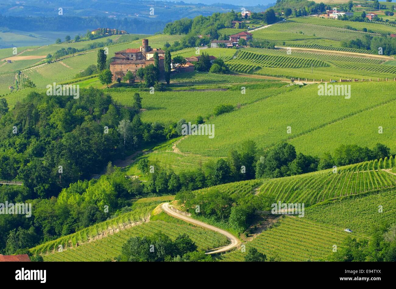 Il Barolo Castello di La volta 14 Foto Stock