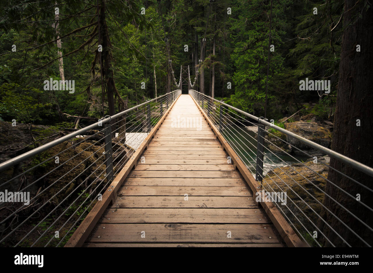 Ponte al di sopra della North Fork Skokomish River, Scala Area, il Parco Nazionale di Olympic, Washington, Stati Uniti d'America Foto Stock