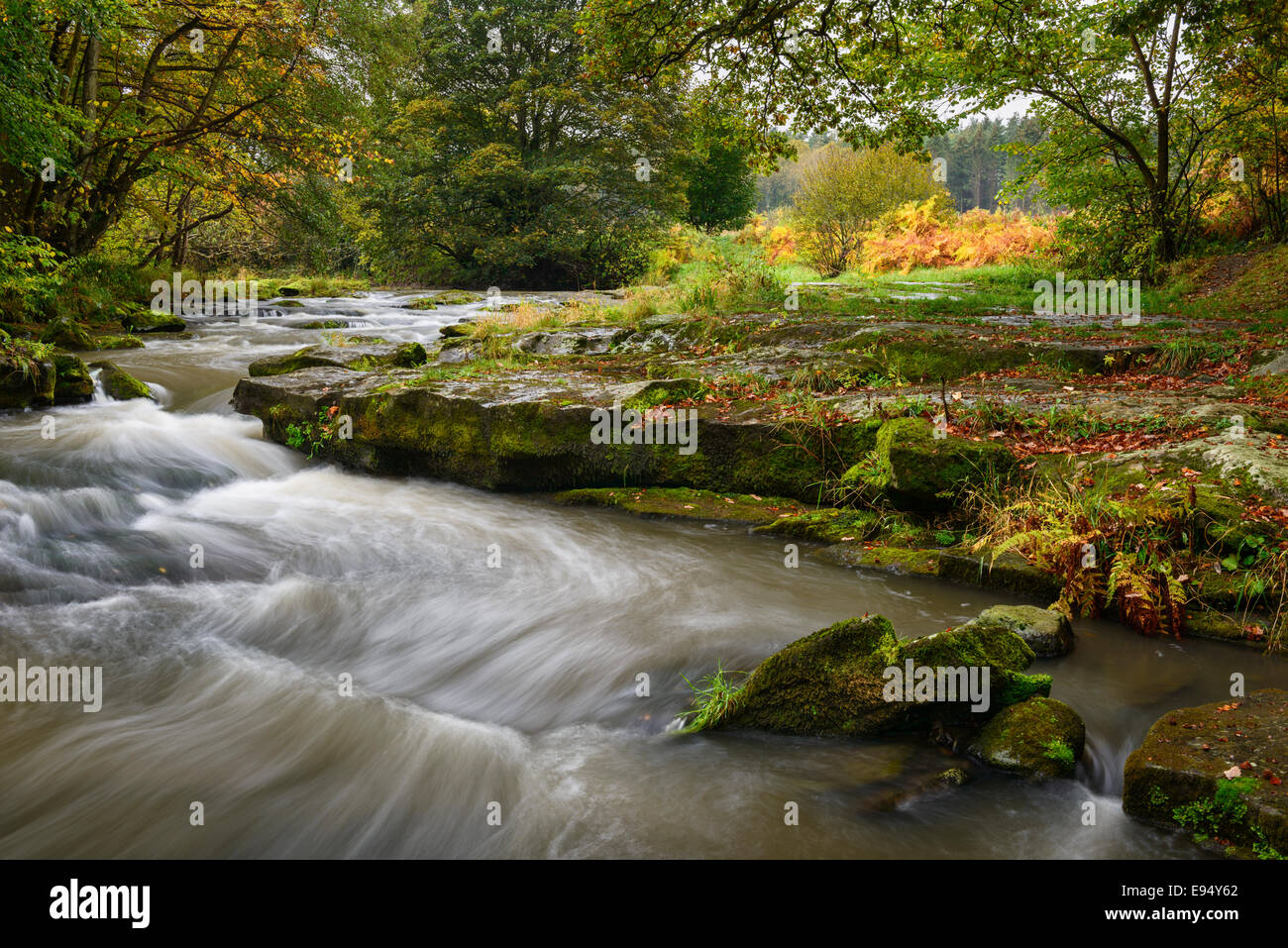 Fiume Derwent vicino Shotley Grove in 'Shotley ponte' Foto Stock