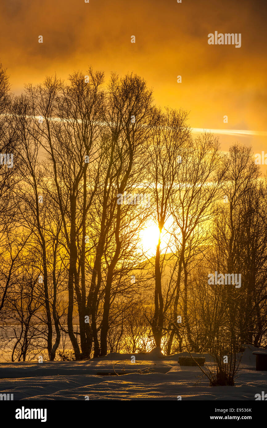 Tramonto al fiordo di Lyngen, Troms, Norvegia Foto Stock