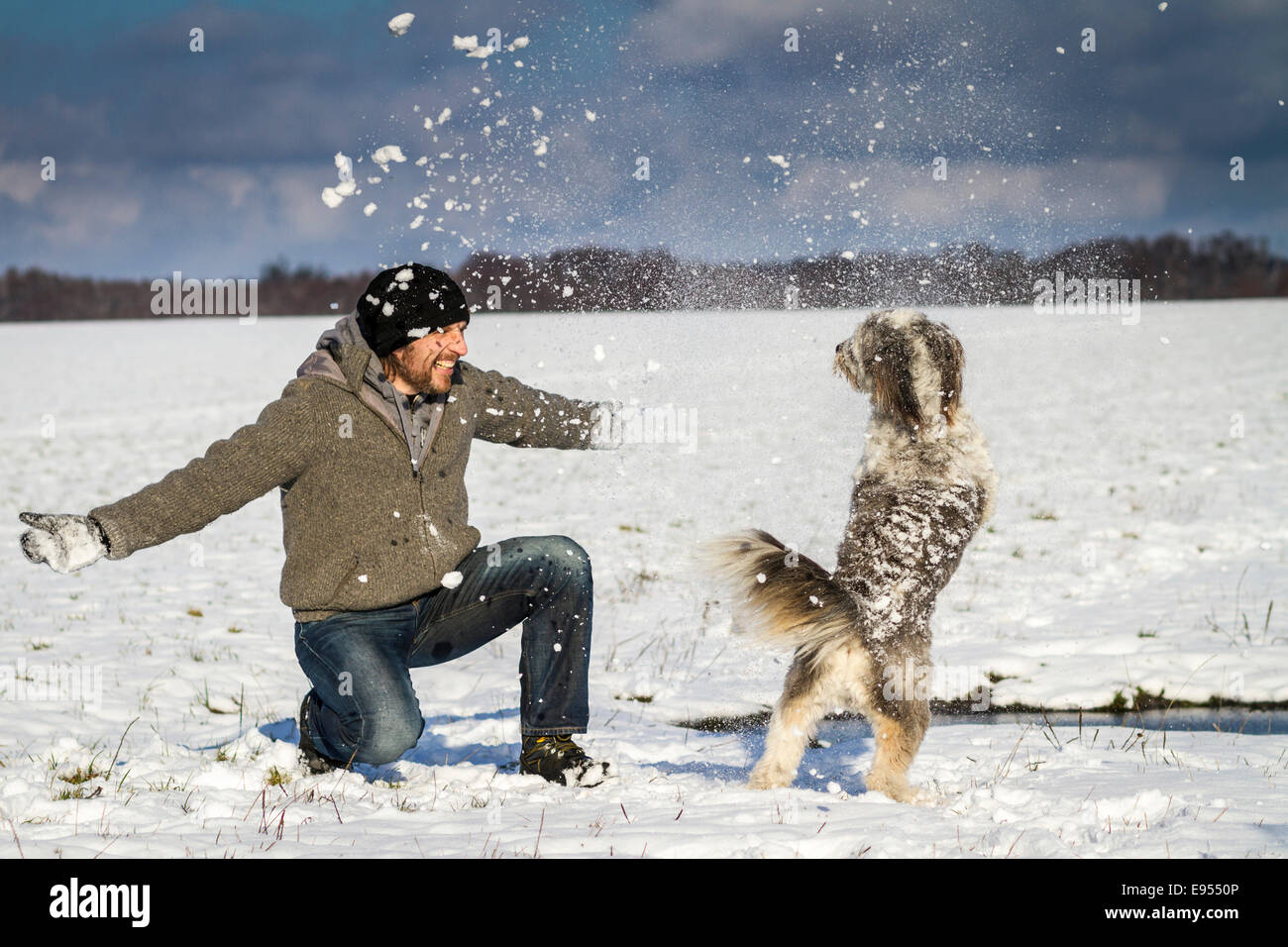 Un uomo e il suo cane sono giocare nella neve in un campo vicino a Wustermark, Havelland, Brandeburgo, Germania Foto Stock