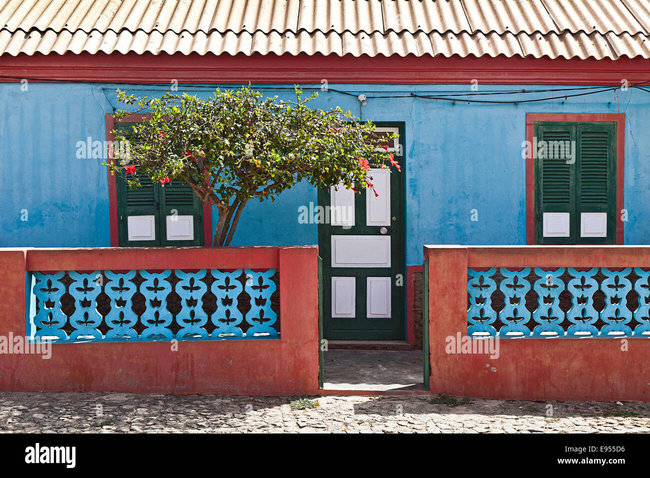 Casa colorati con una fioritura di hibiscus tree, Fundo das Figueiras, Boa Vista, Capo Verde, Repubblica di Capo Verde Foto Stock