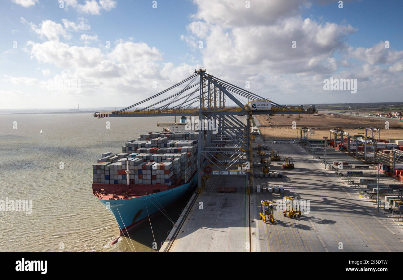 Contenitore grande nave,Edith Maersk,essendo caricati al DP London Gateway porta sull'estuario del Tamigi Foto Stock