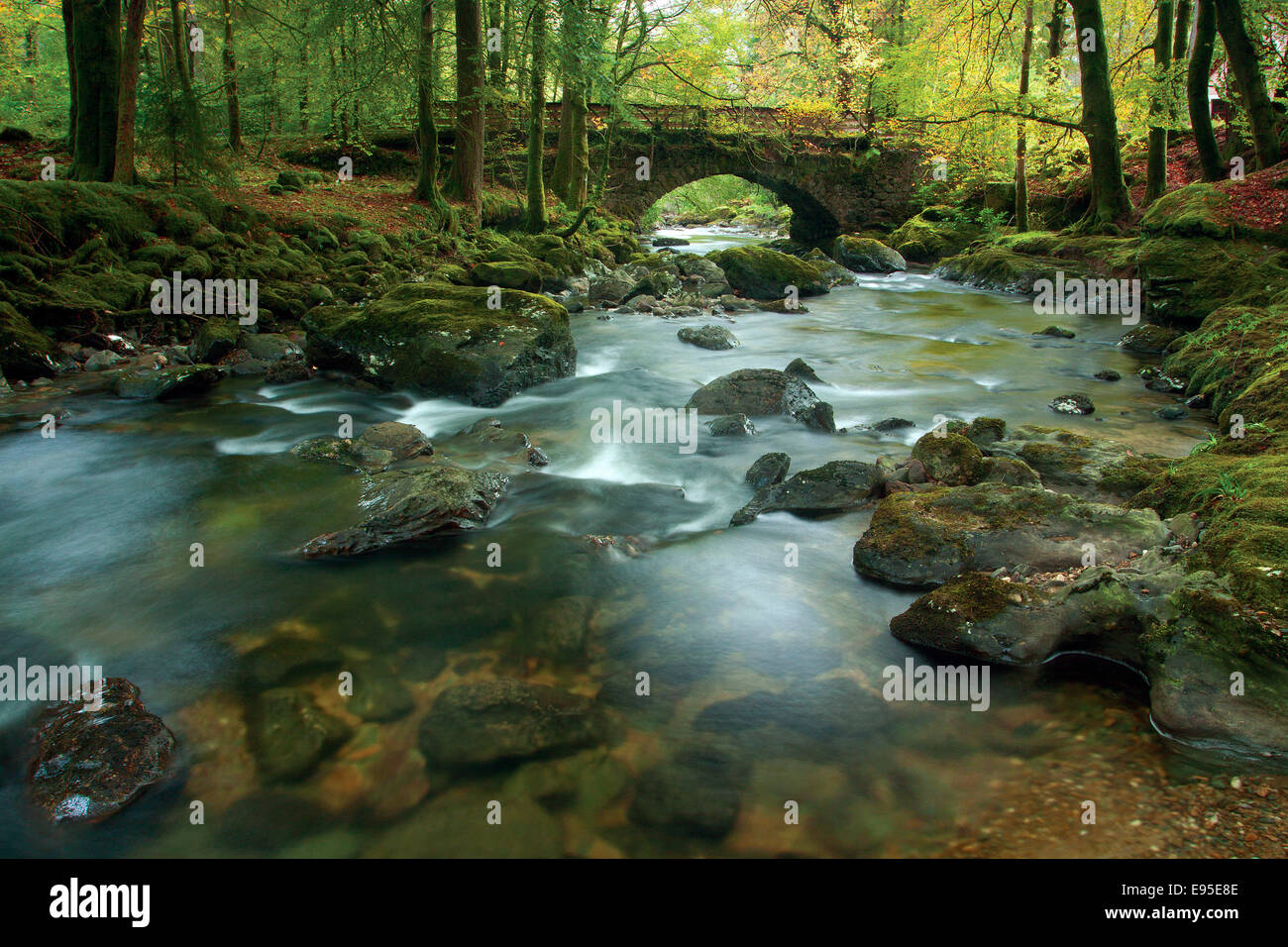 Il fiume Croe, Ardgartan, Argyll Forest Park, Foto Stock