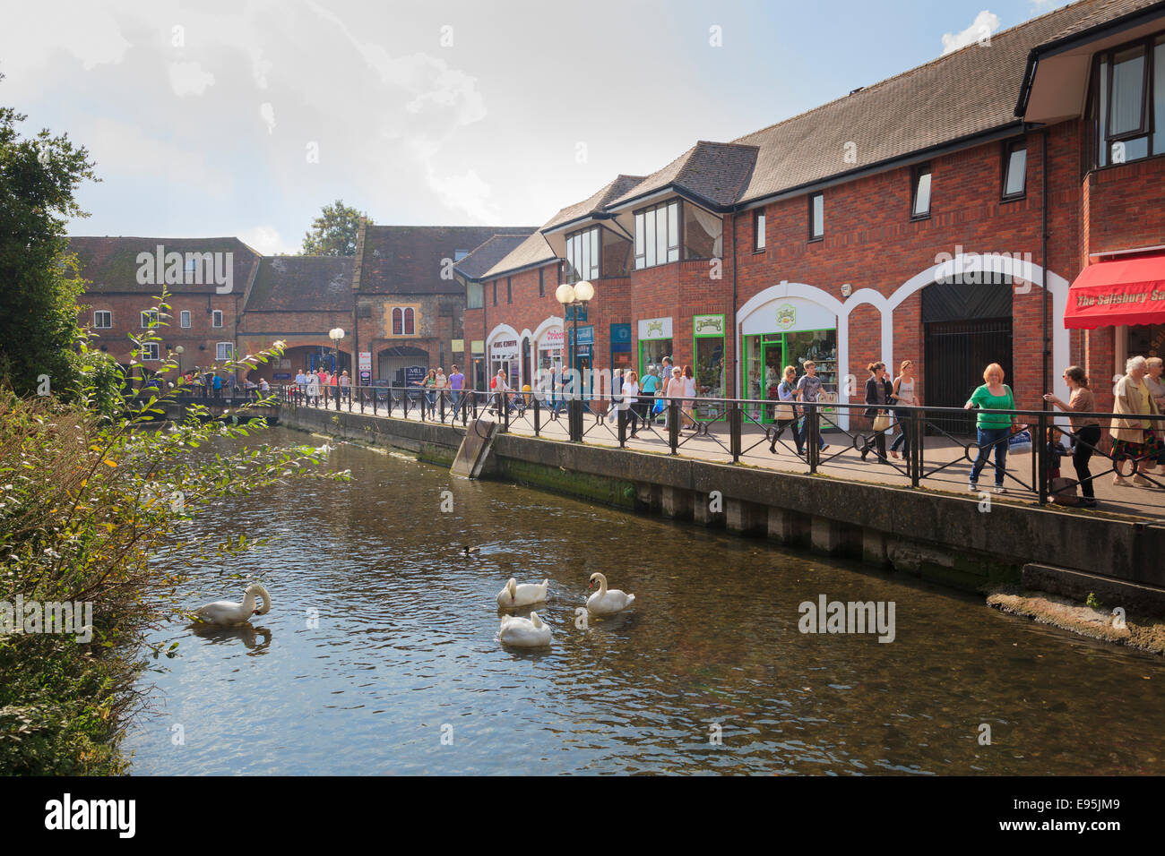 Cigni sul fiume Avon che corre attraverso il Maltings shopping centre in Salisbury Foto Stock