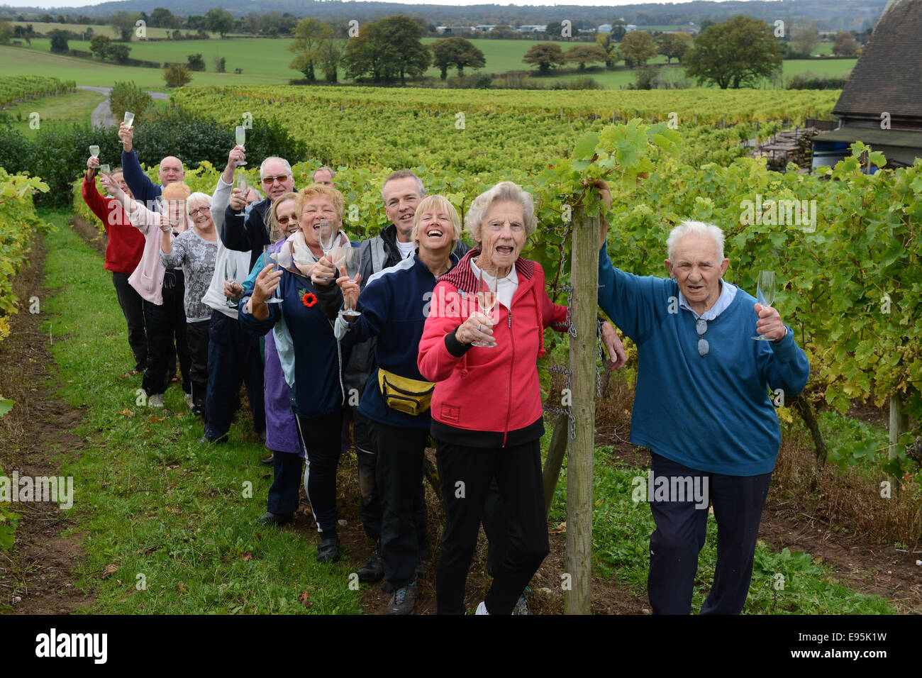 Vintage raccoglitrice di uva Ann Hawkins festeggia il suo compleanno 94th con altri volontari a Halfpenny verde vigneto nella regione delle West Midlands. Ann un ex insegnante Pattingham vivente sta aiutando con la vendemmia per oltre venti anni ma ha gestito solo la metà di un turno nel giorno del suo compleanno come stava giocando a tennis al mattino. Credito: David Bagnall/Alamy Live News Foto Stock