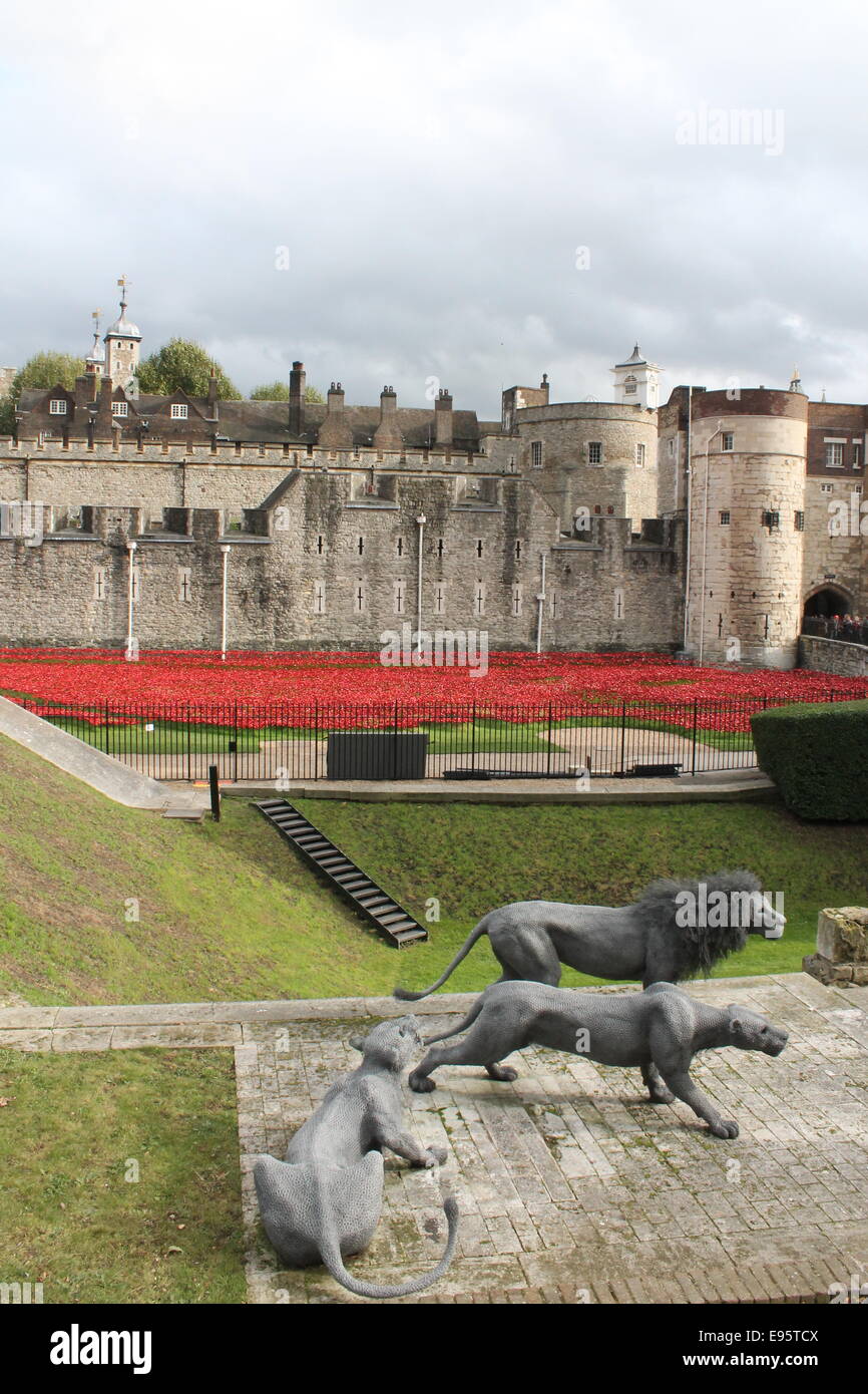 Il sangue spazzata di terre e mari di Rosso - Paolo Papaveri Cummins presso la Torre di Londra Foto Stock