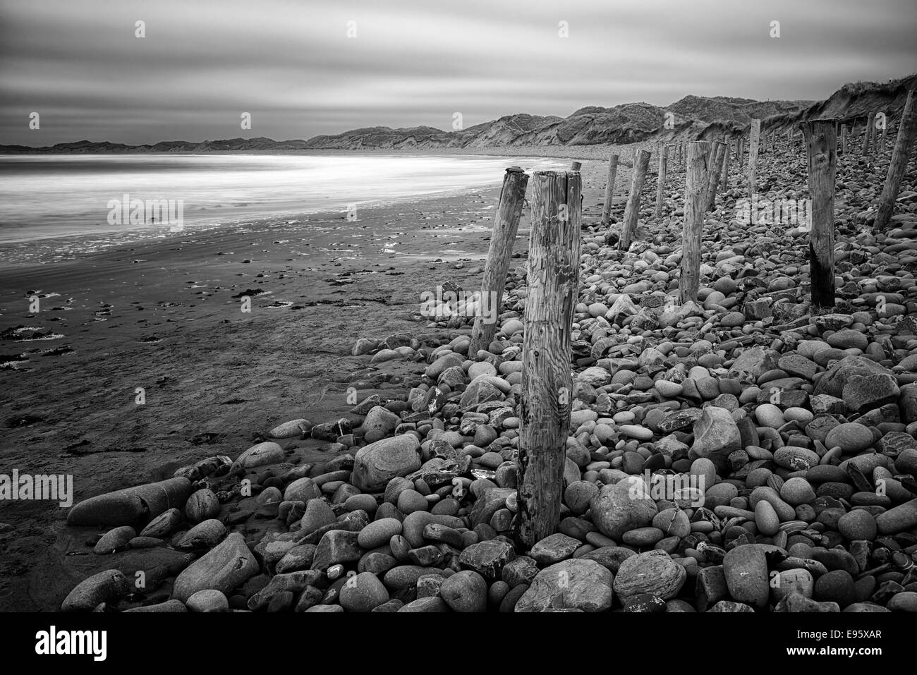 Doughmore Beach County Clare Irlanda posti di legno inguine rocce massi dune protezione proteggere erodere erosione in bianco e nero Foto Stock
