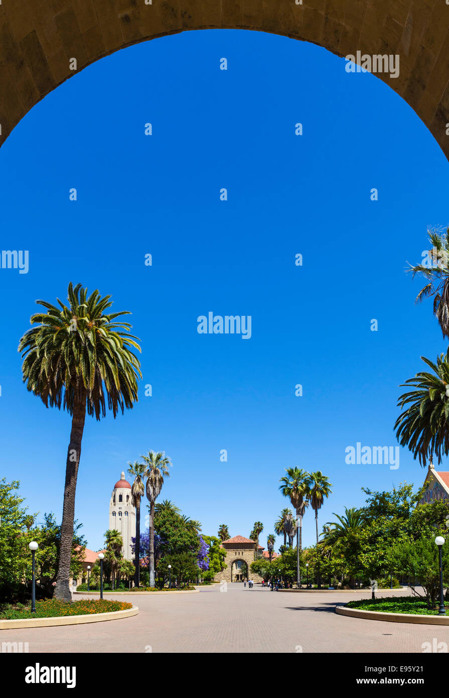Principali Quad-, Stanford University di Palo Alto, California, Stati Uniti d'America Foto Stock