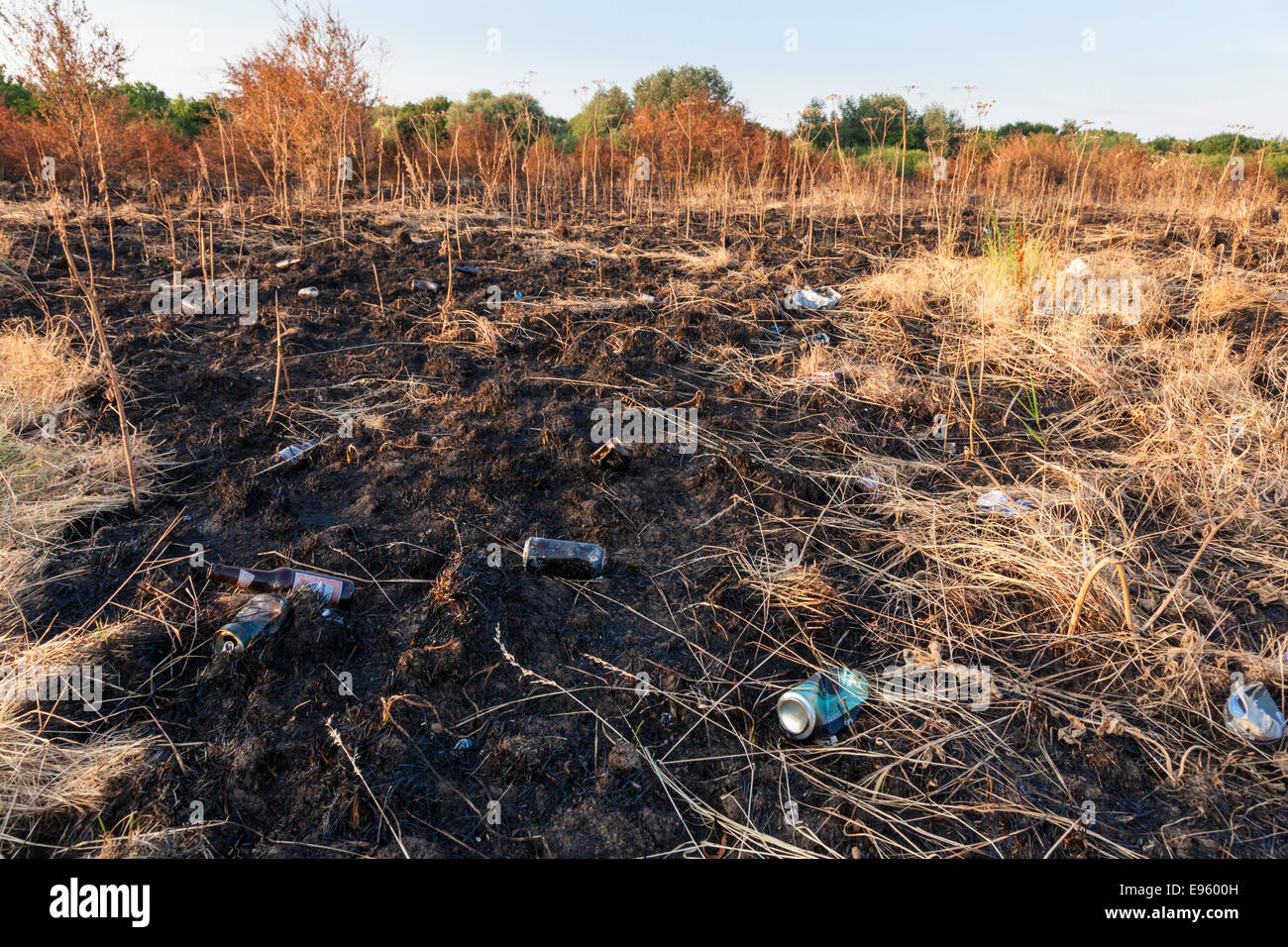 Incendio campagna danneggiato. Cucciolata di gettate le lattine per bevande e di altri rifiuti ha rivelato sulla terra dopo un fuoco d'erba, Nottinghamshire, England, Regno Unito Foto Stock