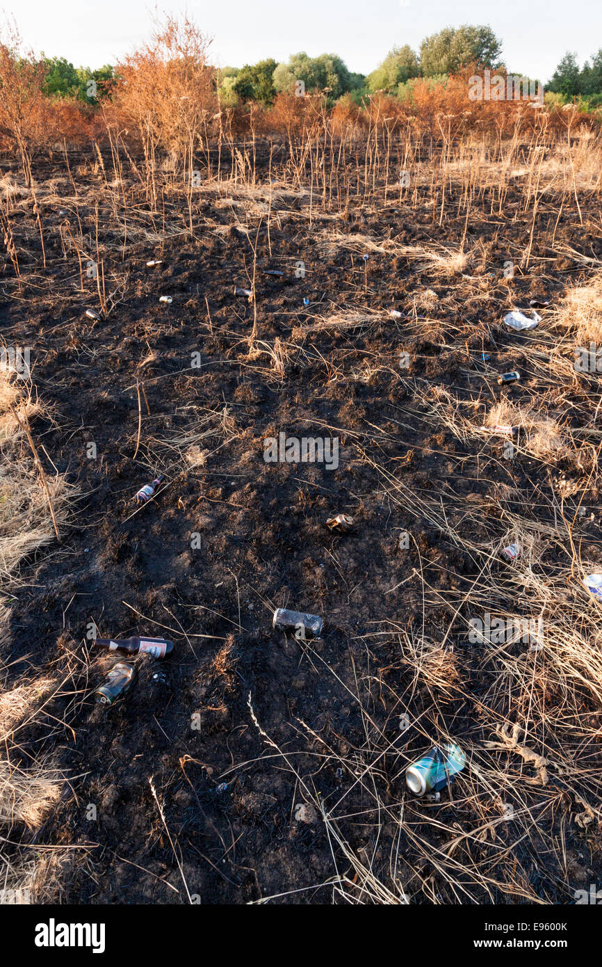 Fuoco terra danneggiato. Scartare le lattine, bottiglie di bevande e altre lettiere rivelato in campagna dopo un fuoco d'erba, Nottinghamshire, England, Regno Unito Foto Stock