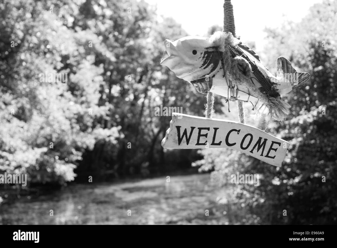 Benvenuti pesce su una barca in acqua dolce primavera Foto Stock
