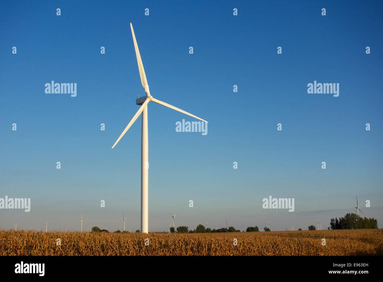 Le turbine eoliche e cornfield. Northern Indiana. Foto Stock