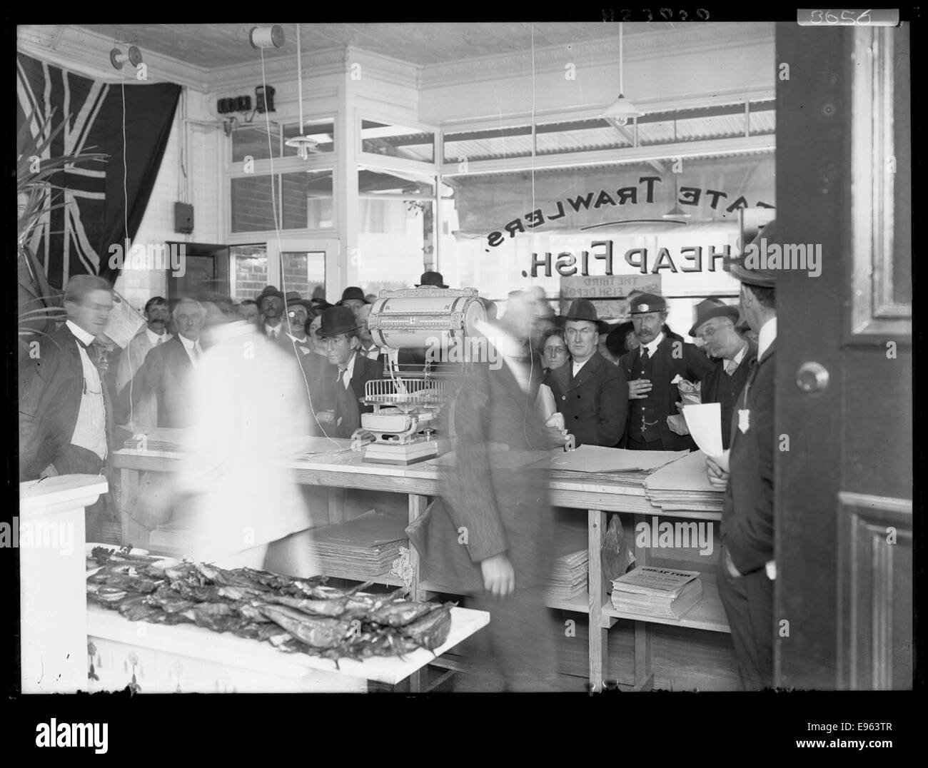 Una fotografia in bianco e nero dell'interno del Fish Depot di Newtown, New South Wales, che mostra l'ambiente del mercato del pesce. L'immagine riflette le operazioni quotidiane e il commercio di pesce durante l'inizio del XX secolo in Australia. Foto Stock