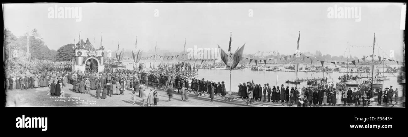 Questa fotografia panoramica cattura l'ispezione del V.A.D. (Voluntary Aid Detachments) effettuata dal Principe di Galles il 16 giugno 1920, con lo sbarco a Farm Cove a Sydney, Australia. Mostra il momento storico con il Principe e i volontari. Foto Stock
