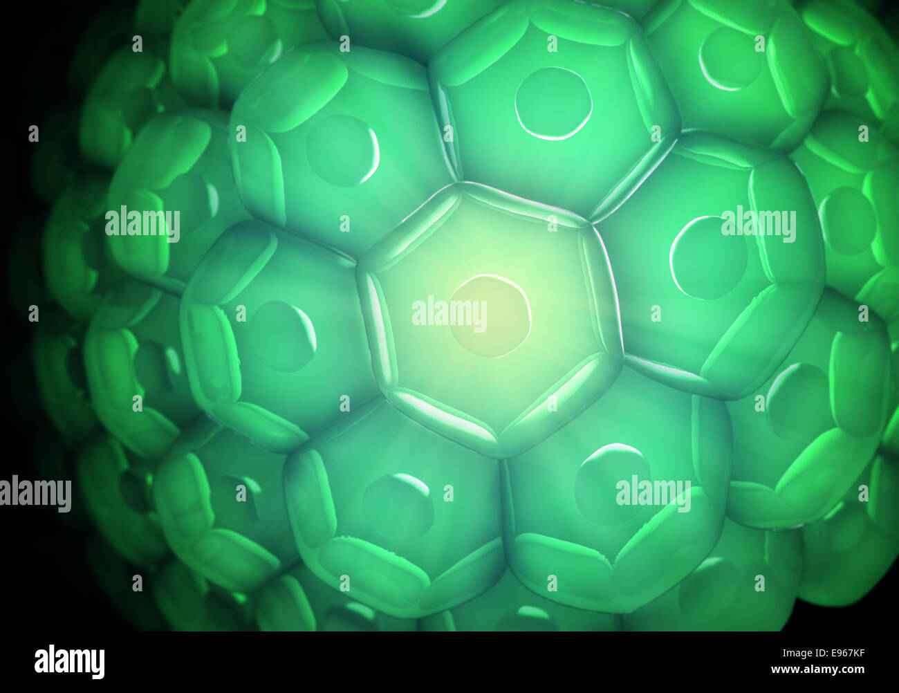 Vista ravvicinata di una parete cellulare - sfondo di biologia Foto Stock