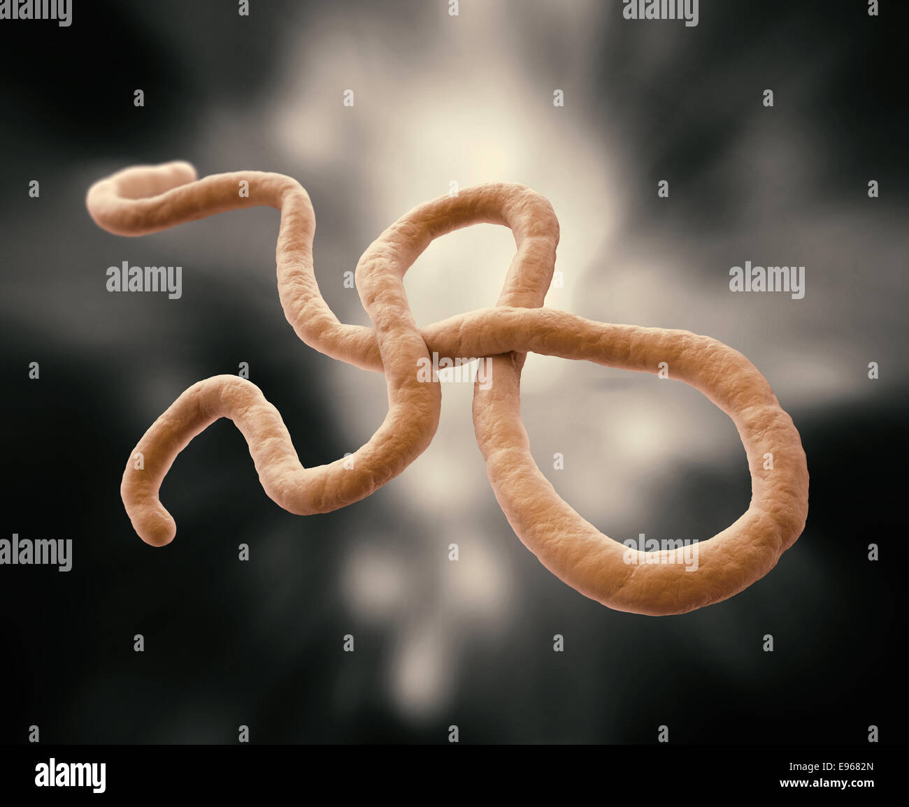 Virus Ebola 3D rendering del modello Foto Stock