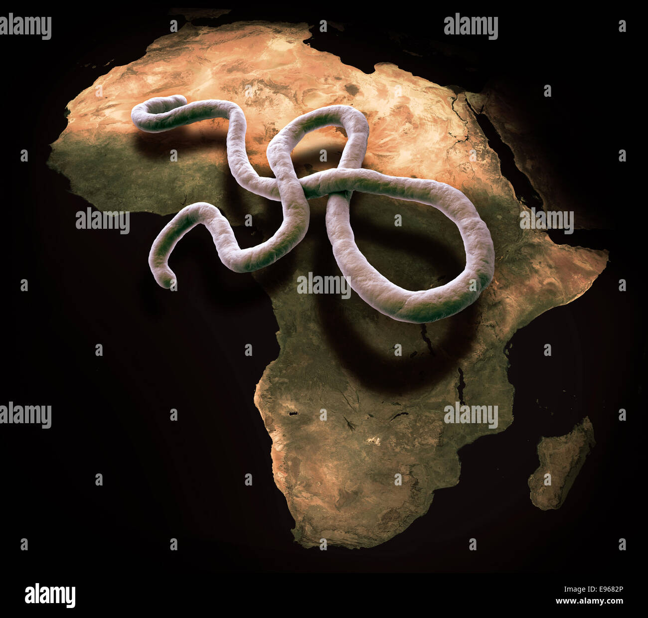 Virus Ebola 3D rendering del modello Foto Stock