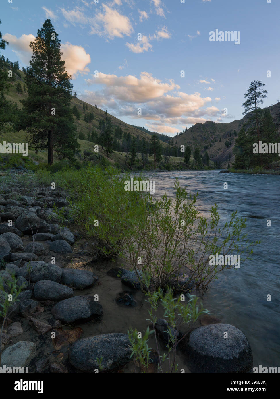 Forcella centrale del fiume di salmoni a Camas Creek confluenza. Foto Stock