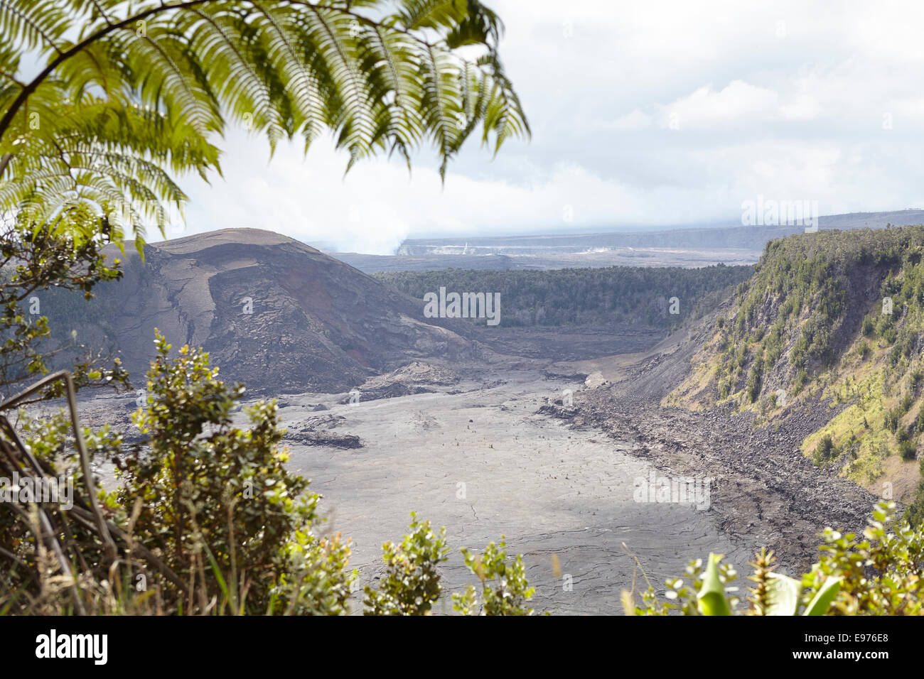 Il Kilauea Iki, cratere (ex lago di lava) Foto Stock